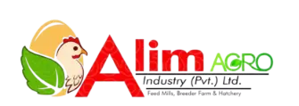 My Website